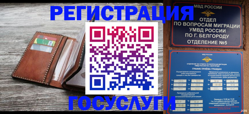 временная регистрация гарантия в Светогорске